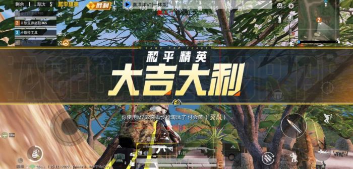 和平精英外免费挂下载安装 - 多功能辅助合集包